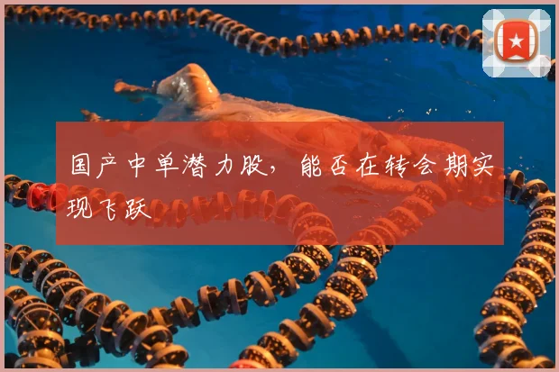 国产中单潜力股,能否在转会期实现飞跃